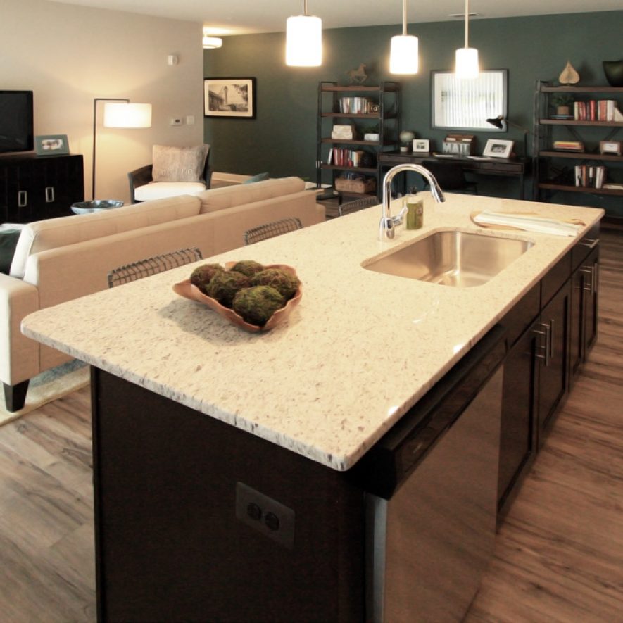 Kitchen / Living Room